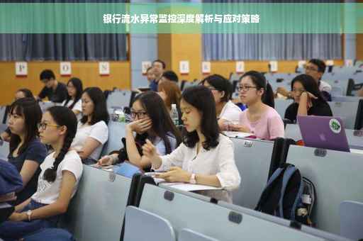 银行流水异常监控深度解析与应对策略