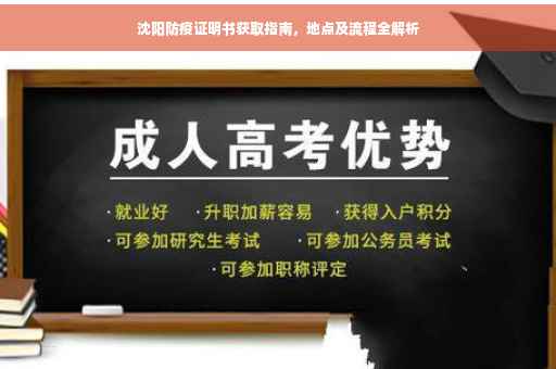 沈阳防疫证明书获取指南，地点及流程全解析