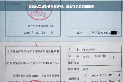 最新死亡证明书模板详解，重要性及其实用指南