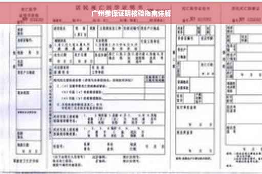广州参保证明核验指南详解