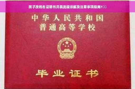 孩子改姓名证明书开具流程详解及注意事项指南?⚡️