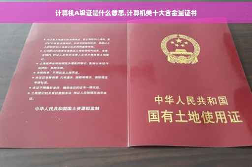 计算机A级证是什么意思,计算机类十大含金量证书