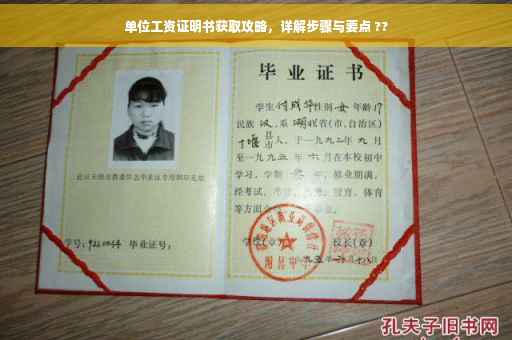 单位工资证明书获取攻略，详解步骤与要点 ??