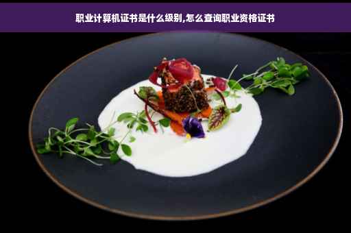 职业计算机证书是什么级别,怎么查询职业资格证书