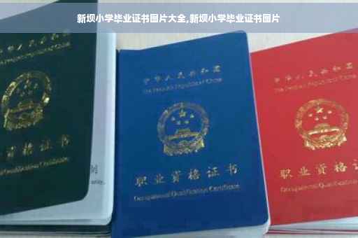 新坝小学毕业证书图片大全,新坝小学毕业证书图片