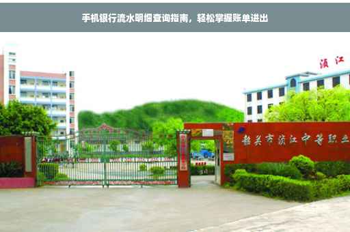 手机银行流水明细查询指南，轻松掌握账单进出