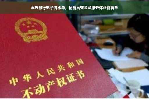 嘉兴银行电子流水单，便捷高效金融服务体验新篇章
