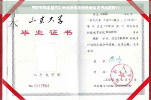 应对专转本报名中毕业证丢失的全面解决方案策略??
