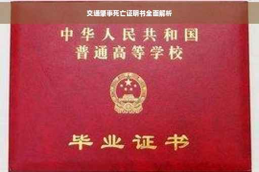 交通肇事死亡证明书全面解析