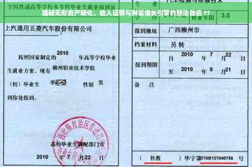 揭秘无形资产转化，收入证明与财富增长引擎的联动效应 ??