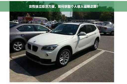 女性独立经济力量，如何获取个人收入证明之路?