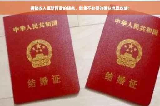 揭秘收入证明背后的秘密，避免不必要的确认流程攻略！