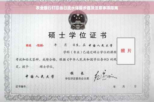 农业银行打印当日流水详细步骤及注意事项指南