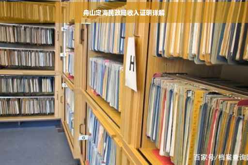 舟山定海民政局收入证明详解