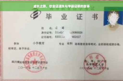 成长之路，毕业证遗失与学籍证明的故事