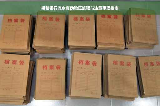 揭秘银行流水真伪验证流程与注意事项指南