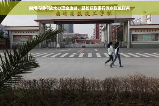 郴州市银行流水办理全攻略，轻松获取银行流水账单指南