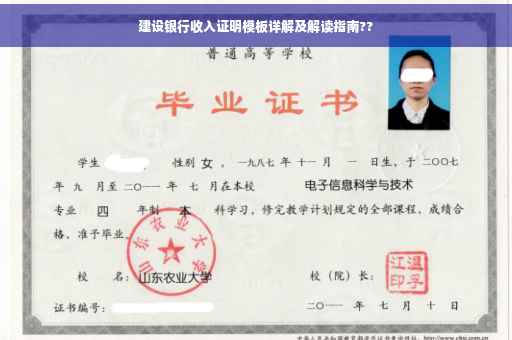 建设银行收入证明模板详解及解读指南??