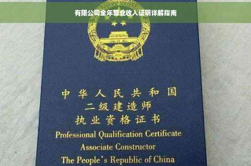 有限公司全年营业收入证明详解指南