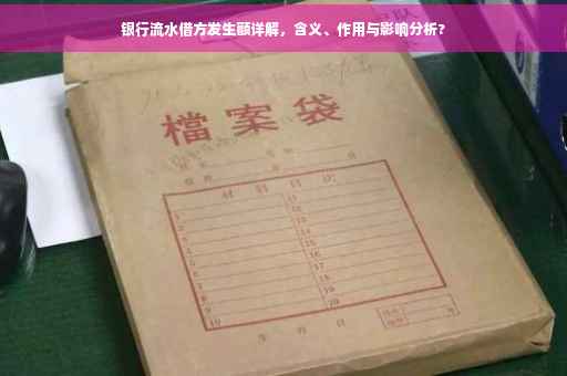 银行流水借方发生额详解，含义、作用与影响分析?
