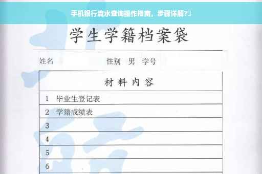 手机银行流水查询操作指南，步骤详解?✨