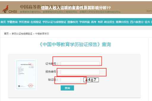 借款人收入证明的重要性及其影响分析??