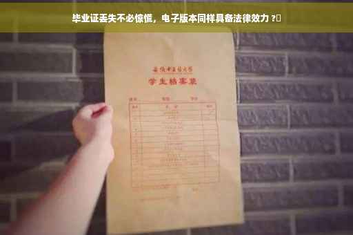 毕业证丢失不必惊慌，电子版本同样具备法律效力 ?✨