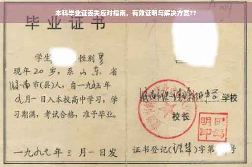 本科毕业证丢失应对指南，有效证明与解决方案??