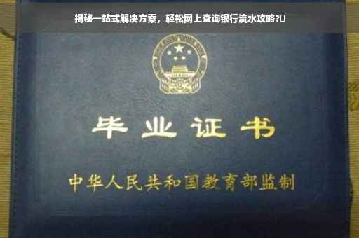 揭秘一站式解决方案，轻松网上查询银行流水攻略?✨