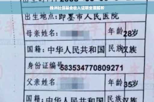株洲社保基金收入证明全面解析