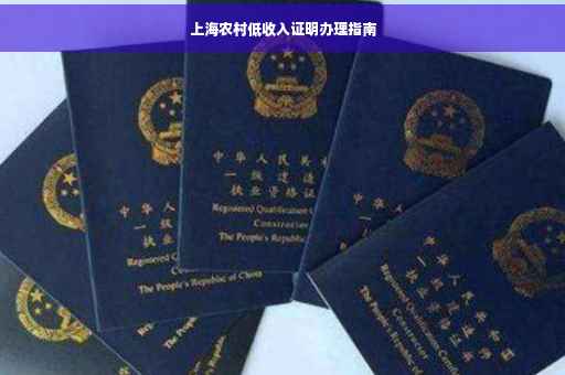 上海农村低收入证明办理指南