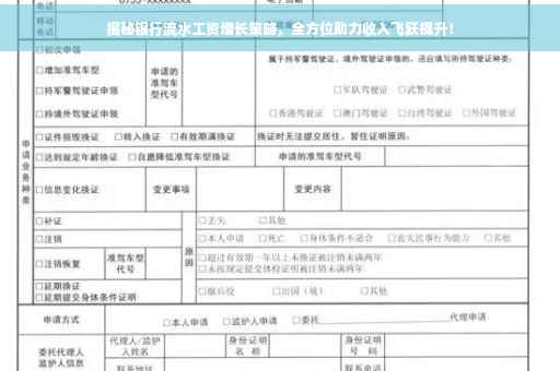 揭秘银行流水工资增长策略，全方位助力收入飞跃提升！