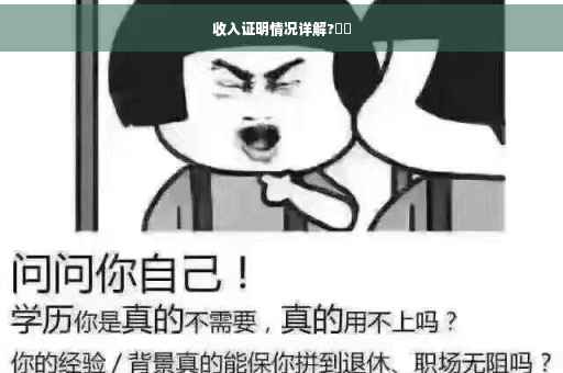收入证明情况详解?⚡️