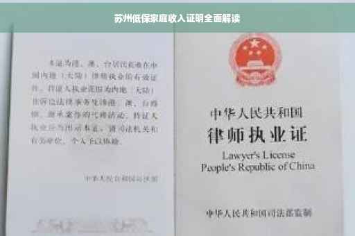 苏州低保家庭收入证明全面解读