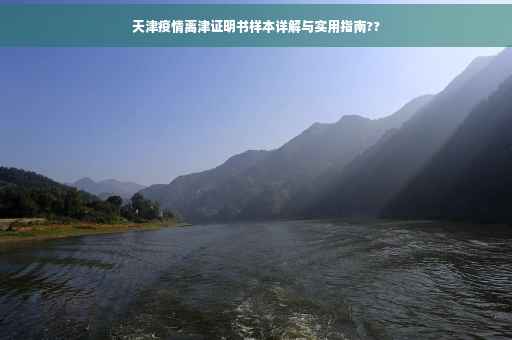 天津疫情离津证明书样本详解与实用指南??