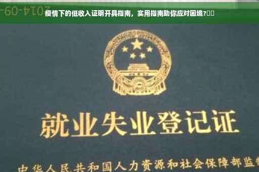 疫情下的低收入证明开具指南，实用指南助你应对困境?⚡️