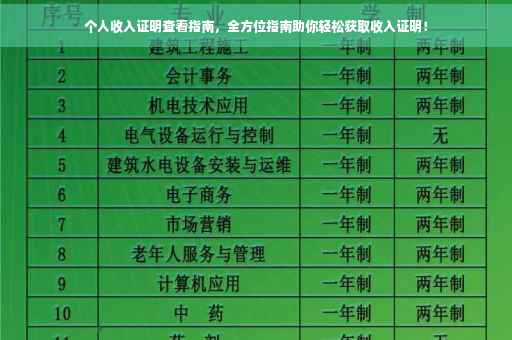 个人收入证明查看指南，全方位指南助你轻松获取收入证明！