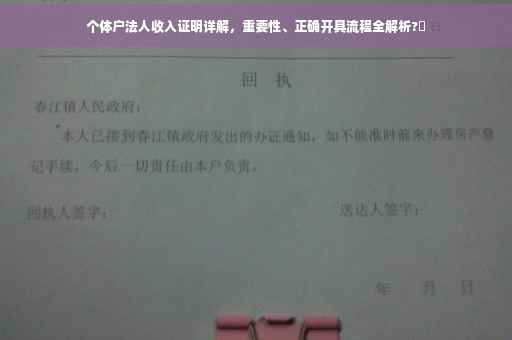 个体户法人收入证明详解，重要性、正确开具流程全解析?✨