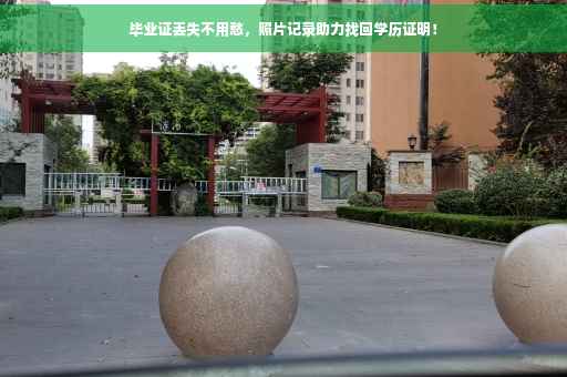 毕业证丢失不用愁，照片记录助力找回学历证明！
