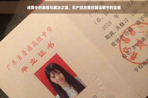 迷雾中的真相与解决之道，无产权房屋权属证明书的探索