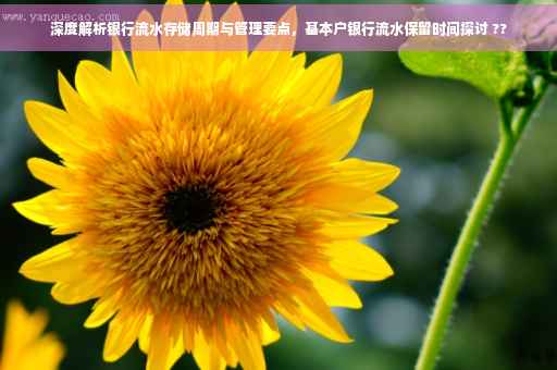 深度解析银行流水存储周期与管理要点，基本户银行流水保留时间探讨 ??