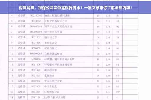 深度解析，担保公司是否需银行流水？一篇文章带你了解全部内容！