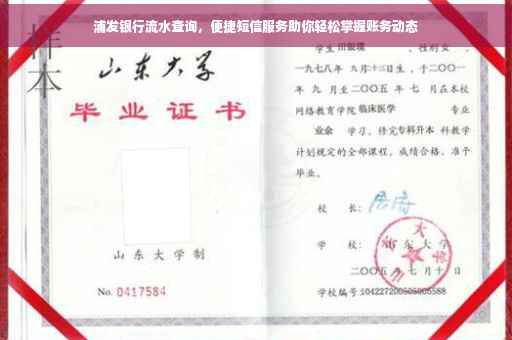 浦发银行流水查询，便捷短信服务助你轻松掌握账务动态
