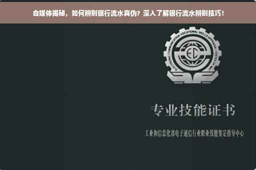 自媒体揭秘，如何辨别银行流水真伪？深入了解银行流水辨别技巧！