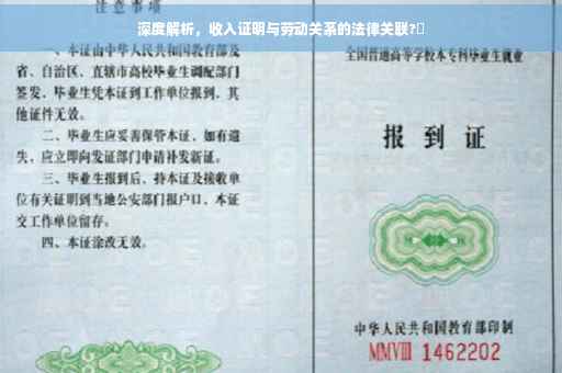 深度解析，收入证明与劳动关系的法律关联?✨