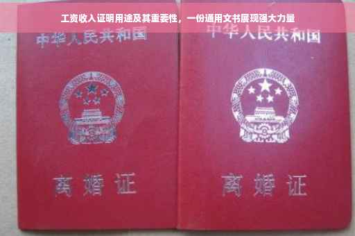 工资收入证明用途及其重要性，一份通用文书展现强大力量