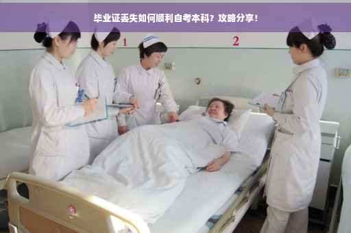 毕业证丢失如何顺利自考本科？攻略分享！