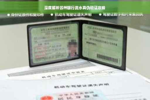 深度解析苏州银行流水真伪验证攻略