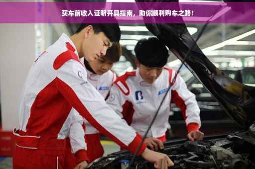 买车前收入证明开具指南，助你顺利购车之路！