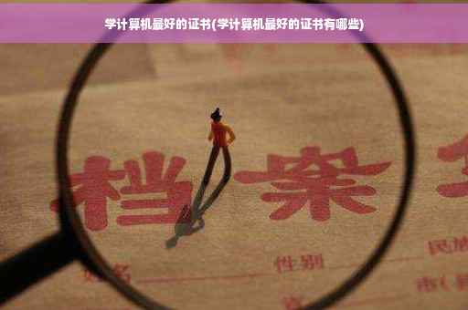 学计算机最好的证书(学计算机最好的证书有哪些)